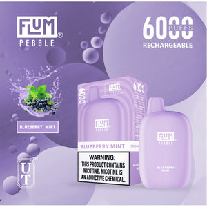 Flum Pebble 6000 Puff Disposable Vape